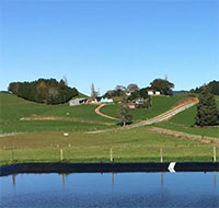 Rustic Dairies Limited in the Waikato