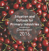 SOPI 2016 update cover