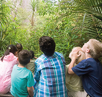 school kids looking trees 200x190