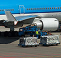 Containers and cargo