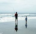 Fisheries Review