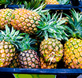 Food importer requirements