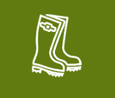 Rural Support Trust
