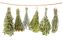 dried plants hanging from a line