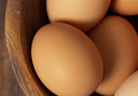 Exporting eggs