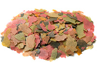 fish food flakes