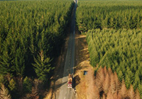 MPI and forestry