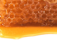 honeycomb sitting in pool of honey