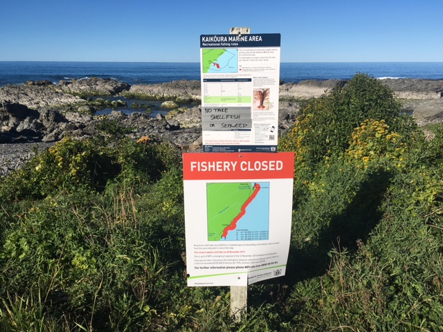 Two signs showing fishing rules and the banned pāua area.