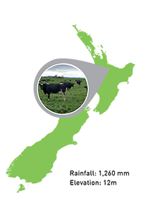Bay of Plenty Farm
