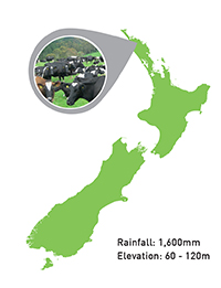 Dairy and beef farm