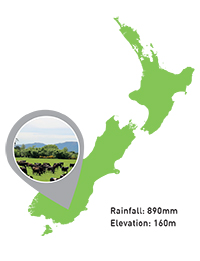 Otago Dairy Farm
