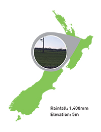 Te Tiringa Farms Limited
