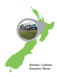 Western Bay of Plenty Dairy Farm