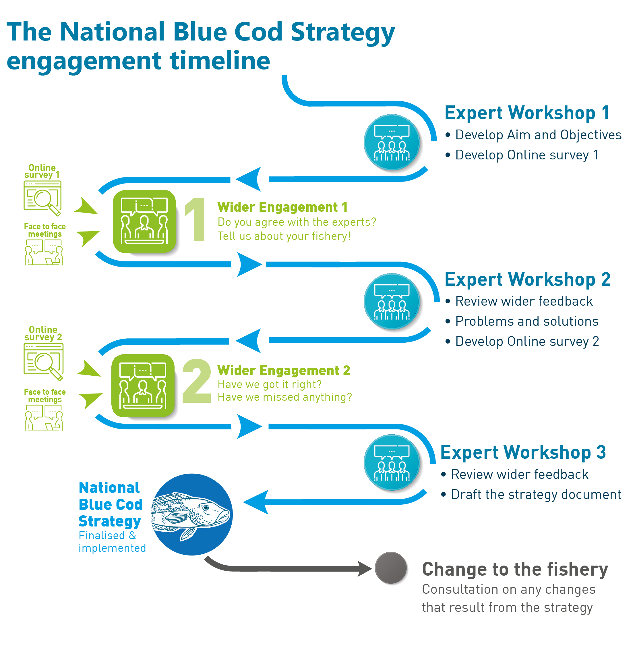 Flow chart with 6 consultation stages (including workshops, meetings and surveys)
to guide development of a National Blue Cod Strategy. The current stage is stage 4 – 'Wider engagement 2'