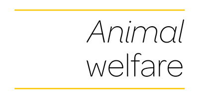 covid animal welfare2