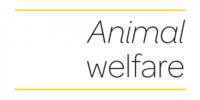 covid animal welfare