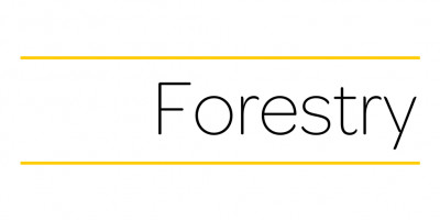 covid forestry