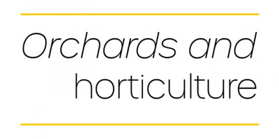 covid orchard horticulture