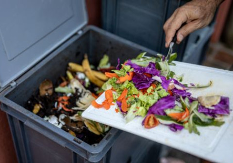 person throwin compost food waste