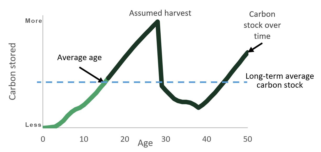 graph infographic number 1