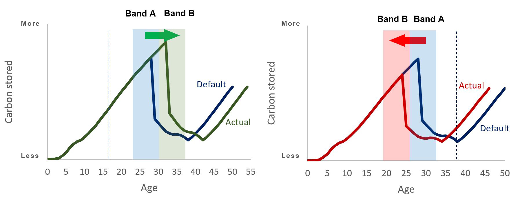 graph infographic number 3