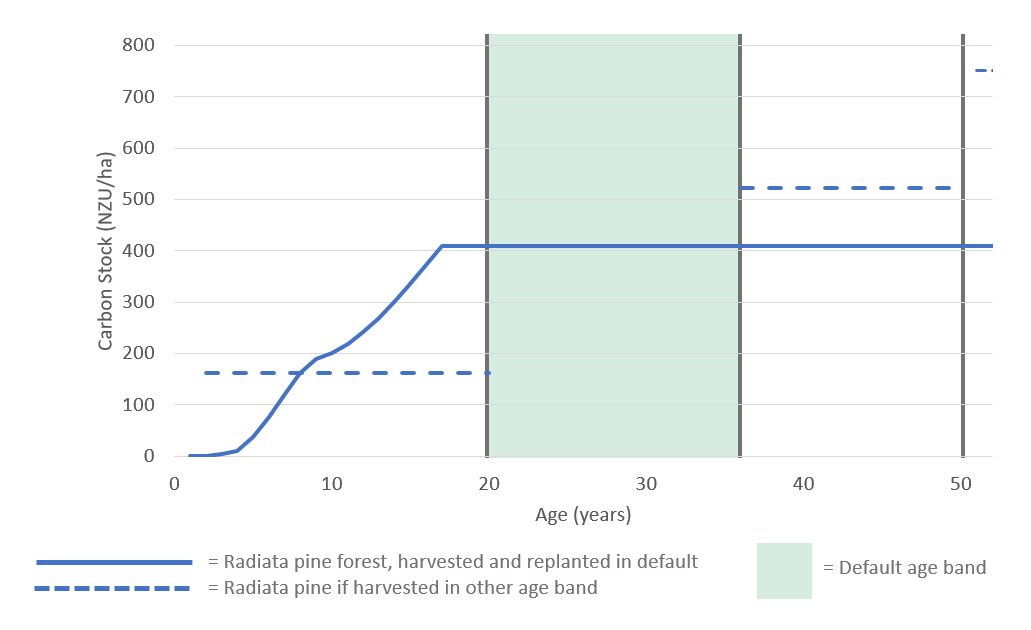 graph infographic number 6