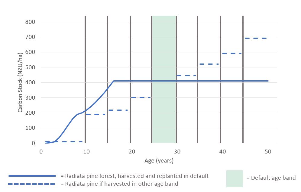 graph infographic number 8