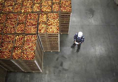 Top view of worker standing by apple fruit crates in organic food factory warehouse