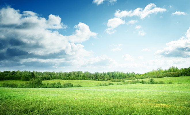 Green pastures under blue skies dotted with clouds.