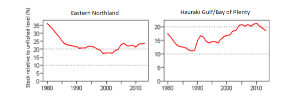 Snapper Age Chart