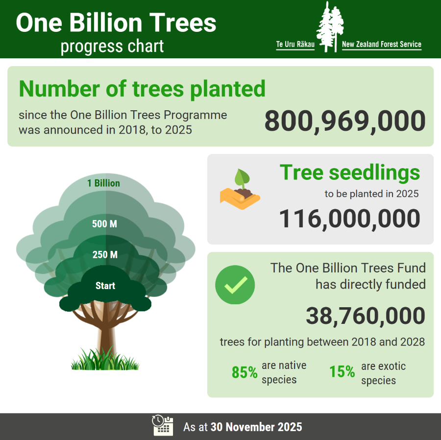 The One Billion Trees progress chart shows the latest update as at 30 November 2025.

The number of trees planted since the One Billion Trees Programme was announced in 2018, to November 2025 is 800,969,000. An estimated 116,000,000 tree seedlings will be planted in 2025. The One Billion Trees fund has directly funded 38,116,000 trees for planting between 2018 and 2028. 85% are native species and 15% are exotic species.  