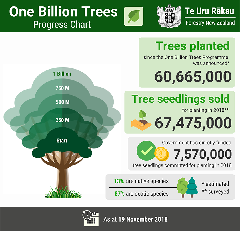 A graphic showing how many trees have been planted so far as part of the One Billion Trees programme. It's 60.665 million as at 19 November 2018.