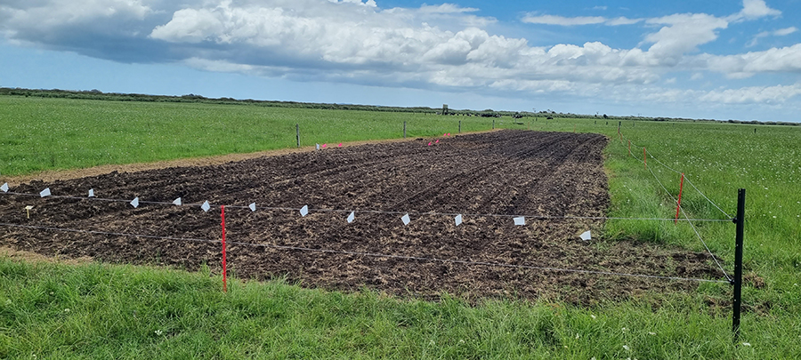 Grass field with a plot of land ploughed ready to be planted