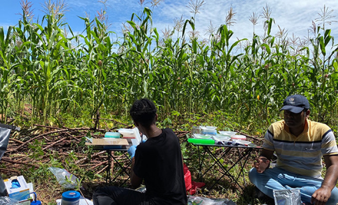 kenyan researchers