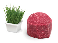 cut of marbled beef