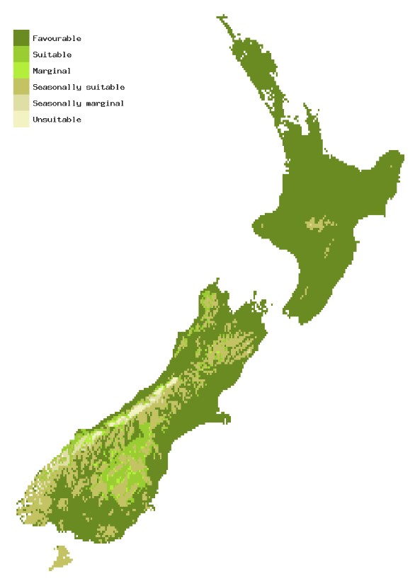Map of New Zealand showing areas where citrus longhorn beetle could establish