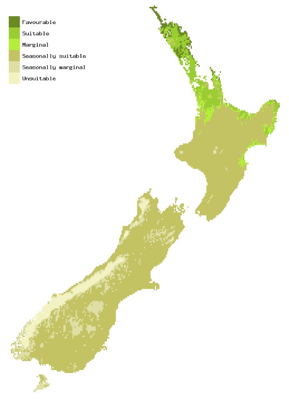 Map of New Zealand showing areas where Queensland fruit fly could establish