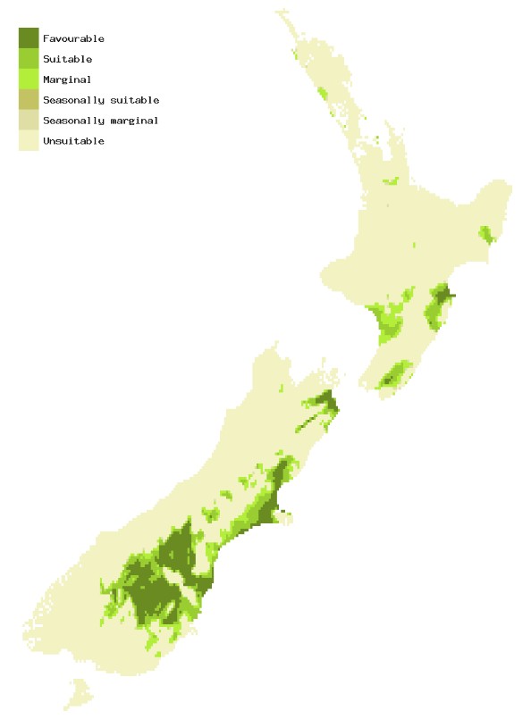Map of New Zealand showing areas where Russian wheat aphid could establish