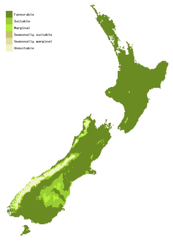 Map of New Zealand showing areas where Dothistroma needle blight could establish