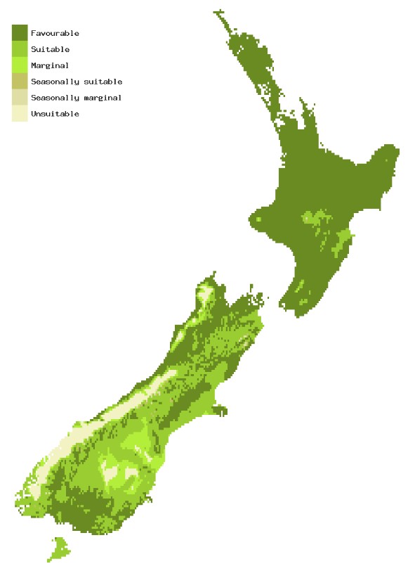 Map of New Zealand showing areas where Spotted wing drosophila could establish