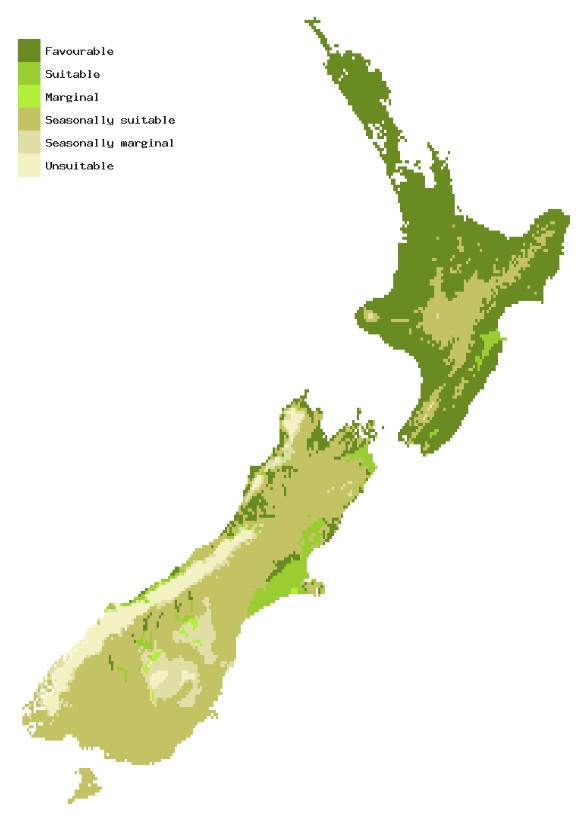 Map of New Zealand showing areas where Pine pitch canker could establish