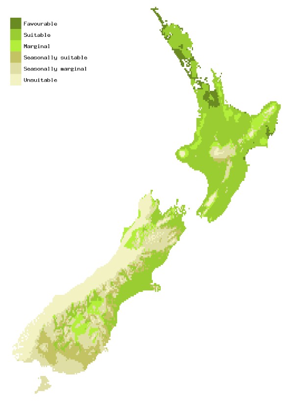 Map of New Zealand showing areas where Brown marmorated stink bug could establish