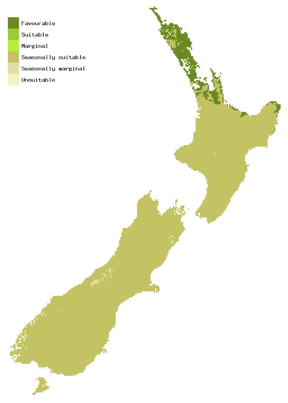 Map of New Zealand showing areas where Pinewood nematode carried by the sawyer beetle could establish