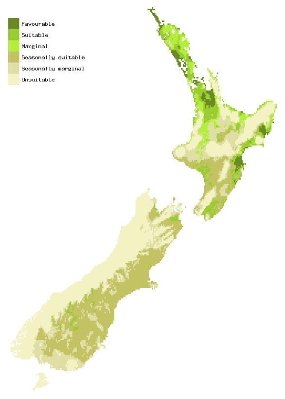 Map of New Zealand showing areas where Red imported fire ant could establish