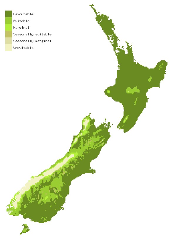 Map of New Zealand showing areas where Pine processionary moth could establish