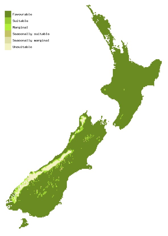 Map of New Zealand showing areas where Bacterial leaf scorch could establish