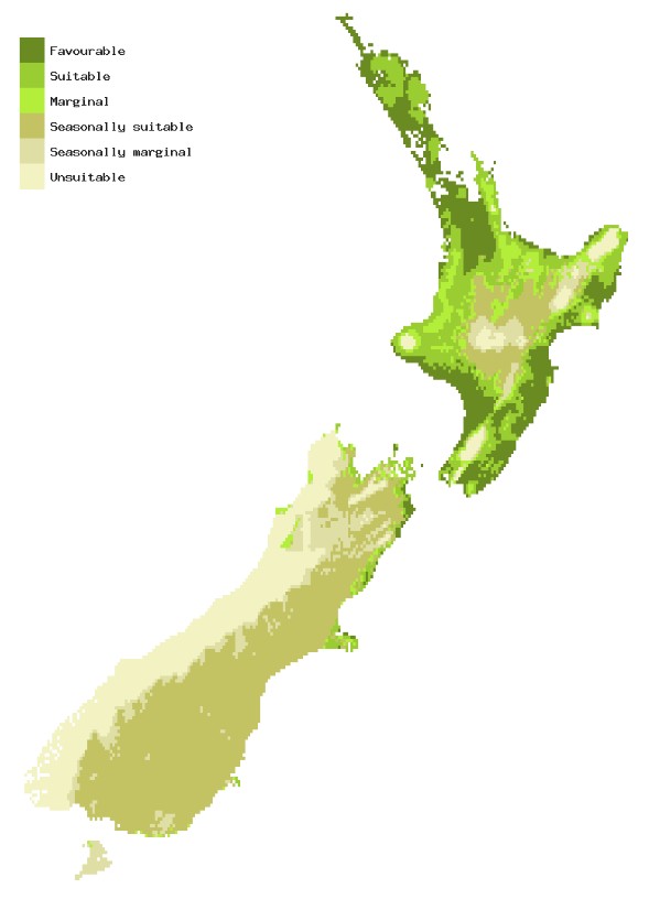 Map of New Zealand showing areas where Melon fly could establish