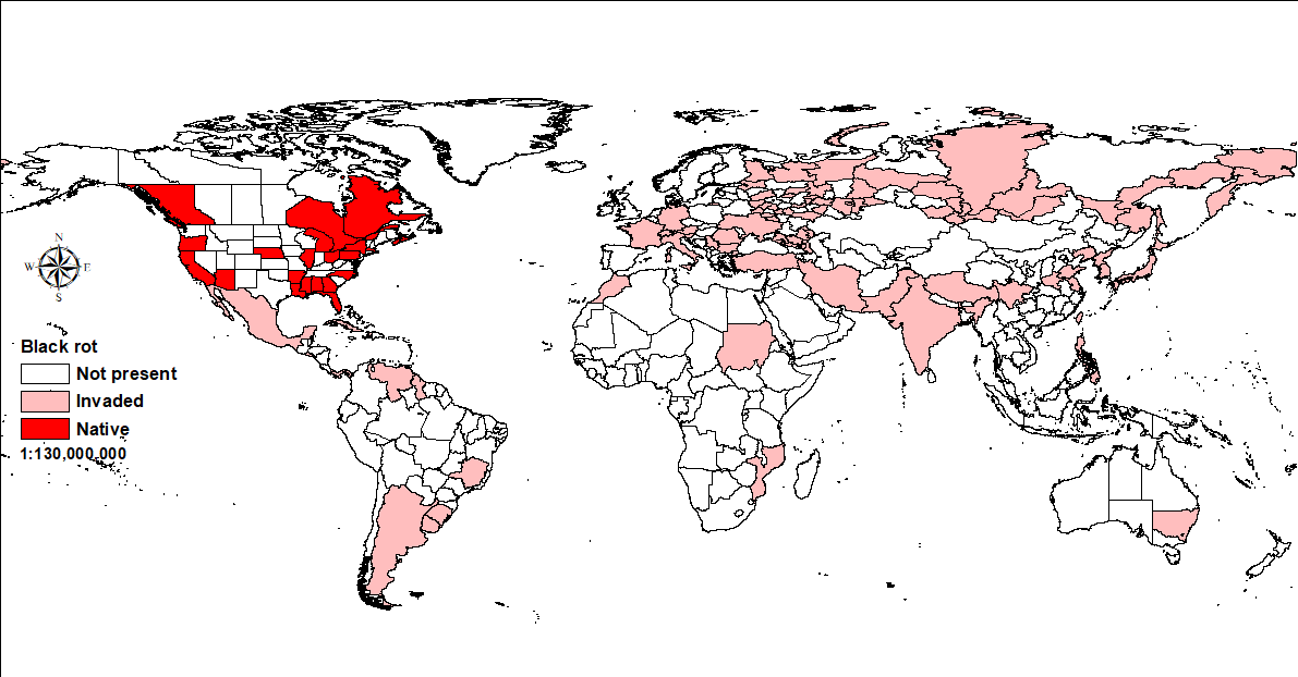 World distribution of black rot