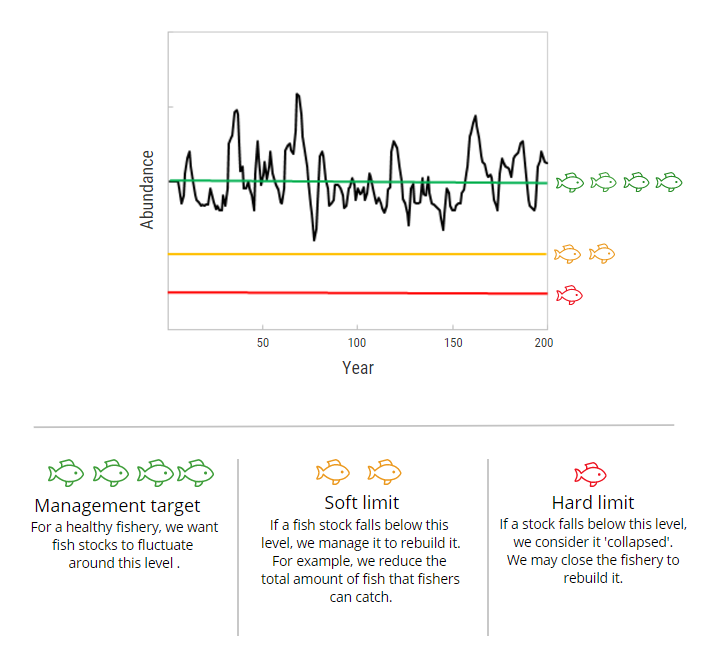 Stock status graph showing the fluctuations in stock size over time (years) and the relationship between the management target and the soft and the hard limits for a stock that is fished perfectly at an optimal constant rate.